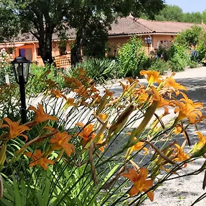 De Balmes Bed & Breakfast